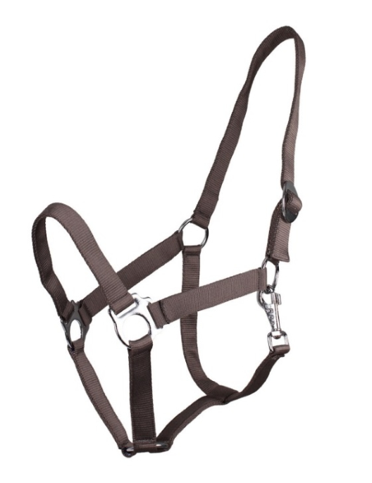 QHP Head Collar with Sliding Buckle