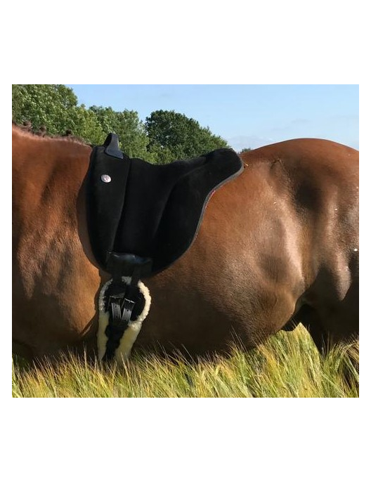 Brockamp Barepack Pad Spezial Pony
