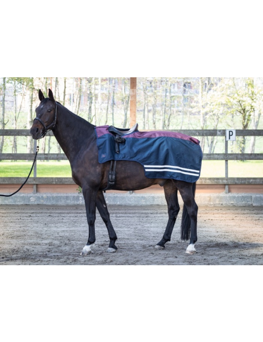 Harrys Horse Exercise sheet 0g  fleece