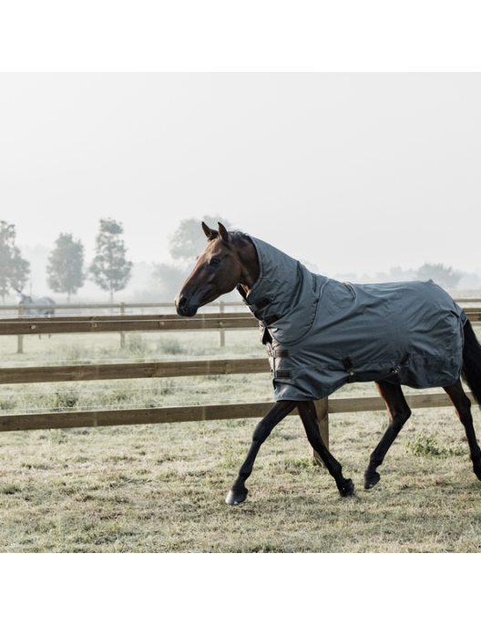 Kentucky Turnout Rug All Weather 160 g