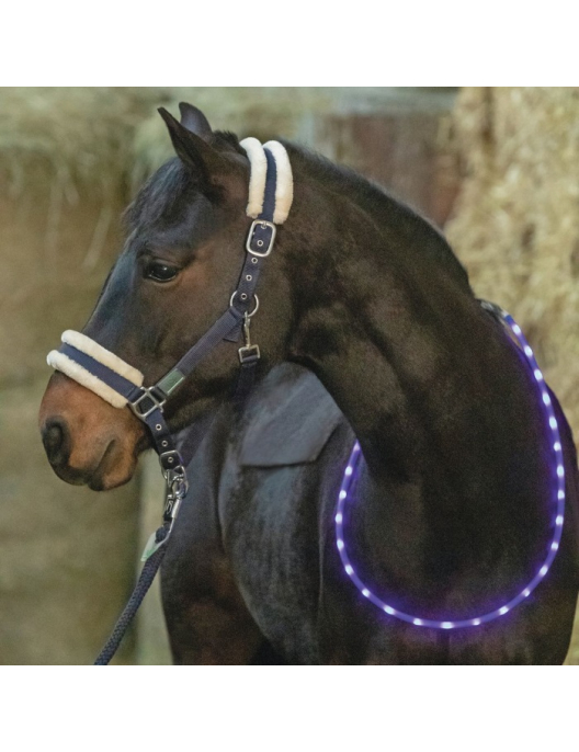 USG LED Luminous Neckring for Horses