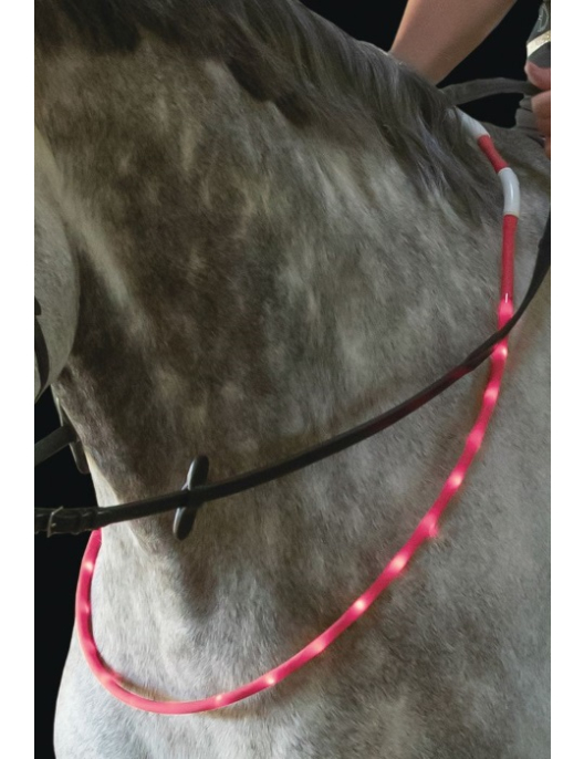 Leuchtender LED-Halsring für Pferde mit integriertem USB-Anschluss 