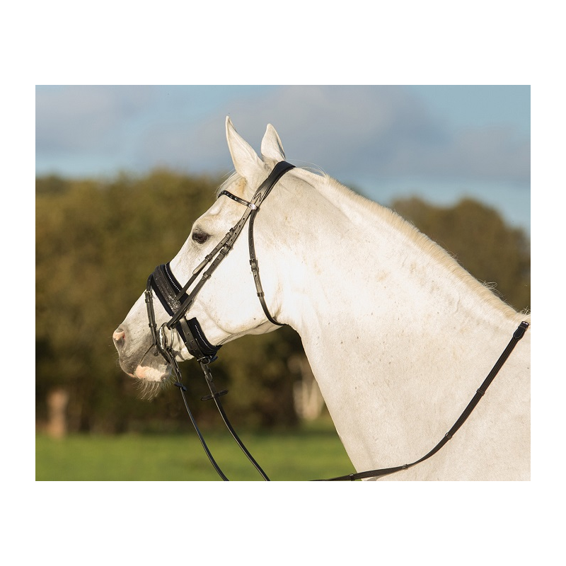 QHP Nasenriemen-Polster Nasenriemen-Unterlage Madelon verhindert Reizungen Druck Pony, Fuchsia und Scheuerstellen