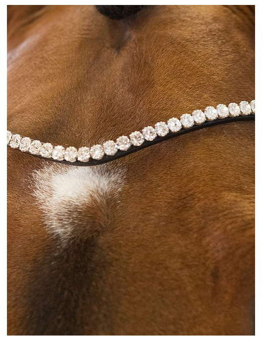 PS of Sweden Double Bridle GP with Rhinestones Browband
